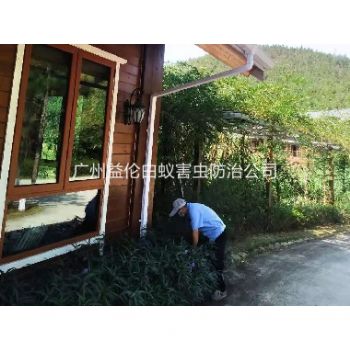 從化(huà)農莊民宿消滅老鼠蟲害