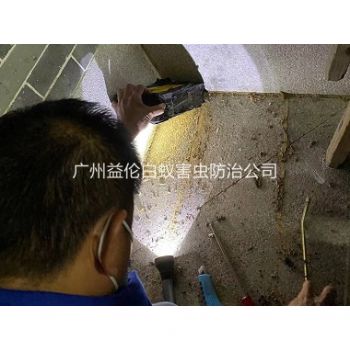 花(huā)都房屋滅治白螞蟻
