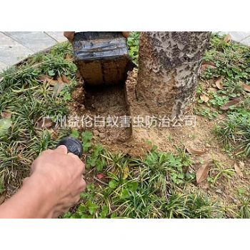 花都(dōu)芙蓉鎮度假村防治白蟻