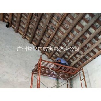 黃埔祠堂房屋白蟻防(fáng)治工程
