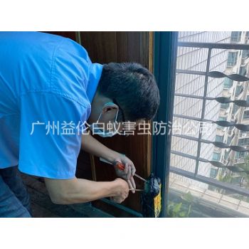 越秀房屋住宅白蟻滅殺(shā)