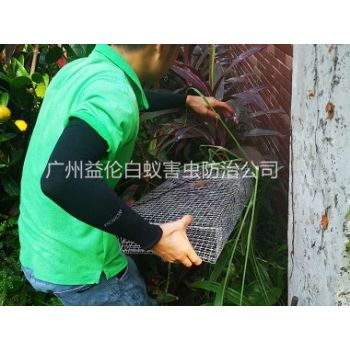白雲除四害公司(sī)抓蛇工程