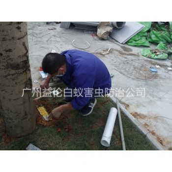 海珠上湧(yǒng)公園裝置白蟻誘殺箱