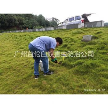 廣州(zhōu)堤壩有害蟻類(lèi)防控