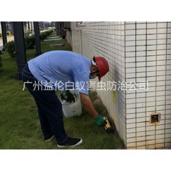 蘿崗廠區滅鼠工程(chéng)