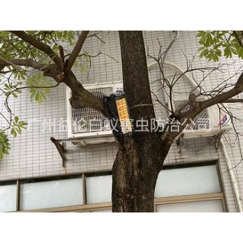 廣州園林白蟻防治(zhì)