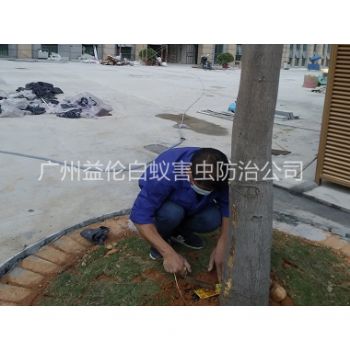 越秀裝置白蟻誘殺箱(xiāng)
