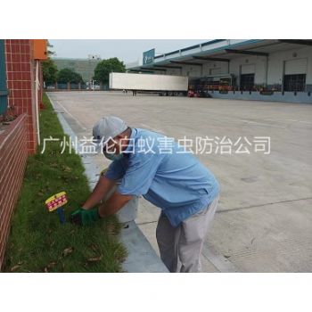 天河企業(yè)殺除(chú)紅火蟻