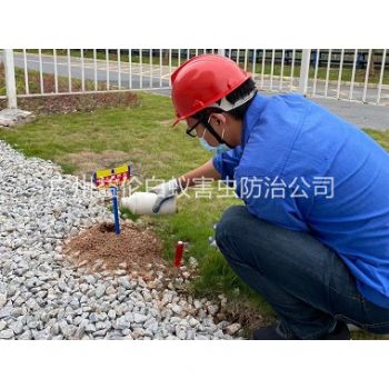 海珠園區治(zhì)紅火蟻