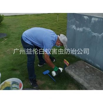 番禺紅(hóng)火蟻消殺案例