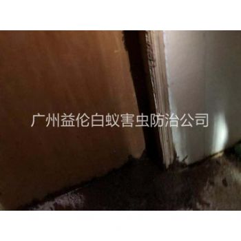 花都倉庫蟻害(hài)防治