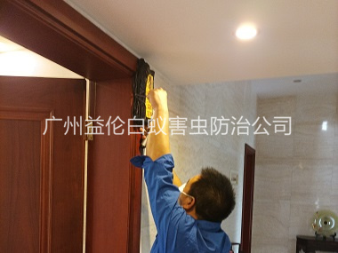 天河房(fáng)屋治白(bái)蟻工程