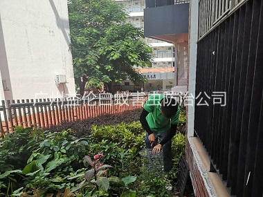 黃埔區抓蛇捕蛇工程