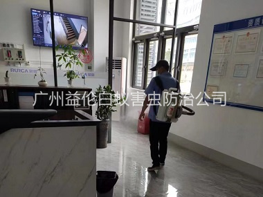 從化室(shì)內消殺蚊蟲工程