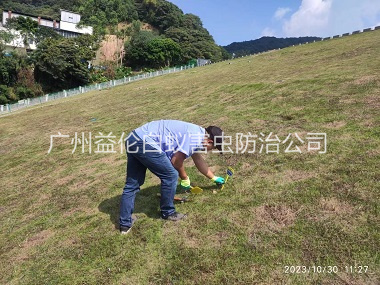 廣州水利(lì)白蟻防治工程