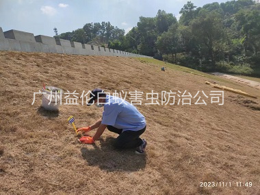 從(cóng)化堤壩白蟻滅治工程