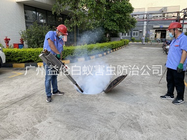白雲區下水道消殺工程