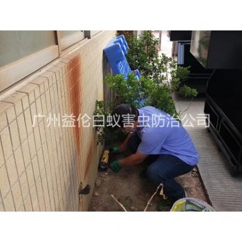 蘿(luó)崗投放滅鼠裝(zhuāng)置工程