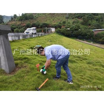白雲水利工(gōng)程紅火蟻防治