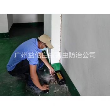 越秀(xiù)電機房滅殺白蟻工程