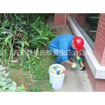 番禺施藥滅鼠工程(chéng)