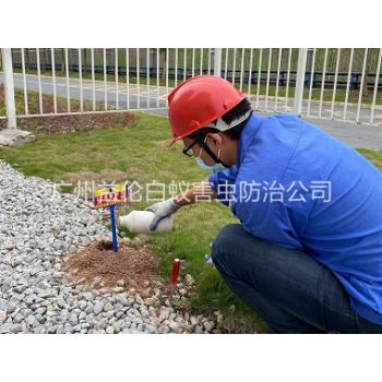 海珠紅火蟻防治工程