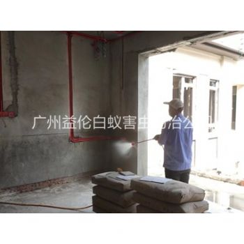 花都裝修預防白蟻工程